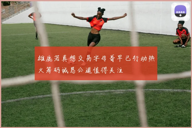 雄鹿若真想交易字母哥早已行动热火筹码诚恳公道值得关注